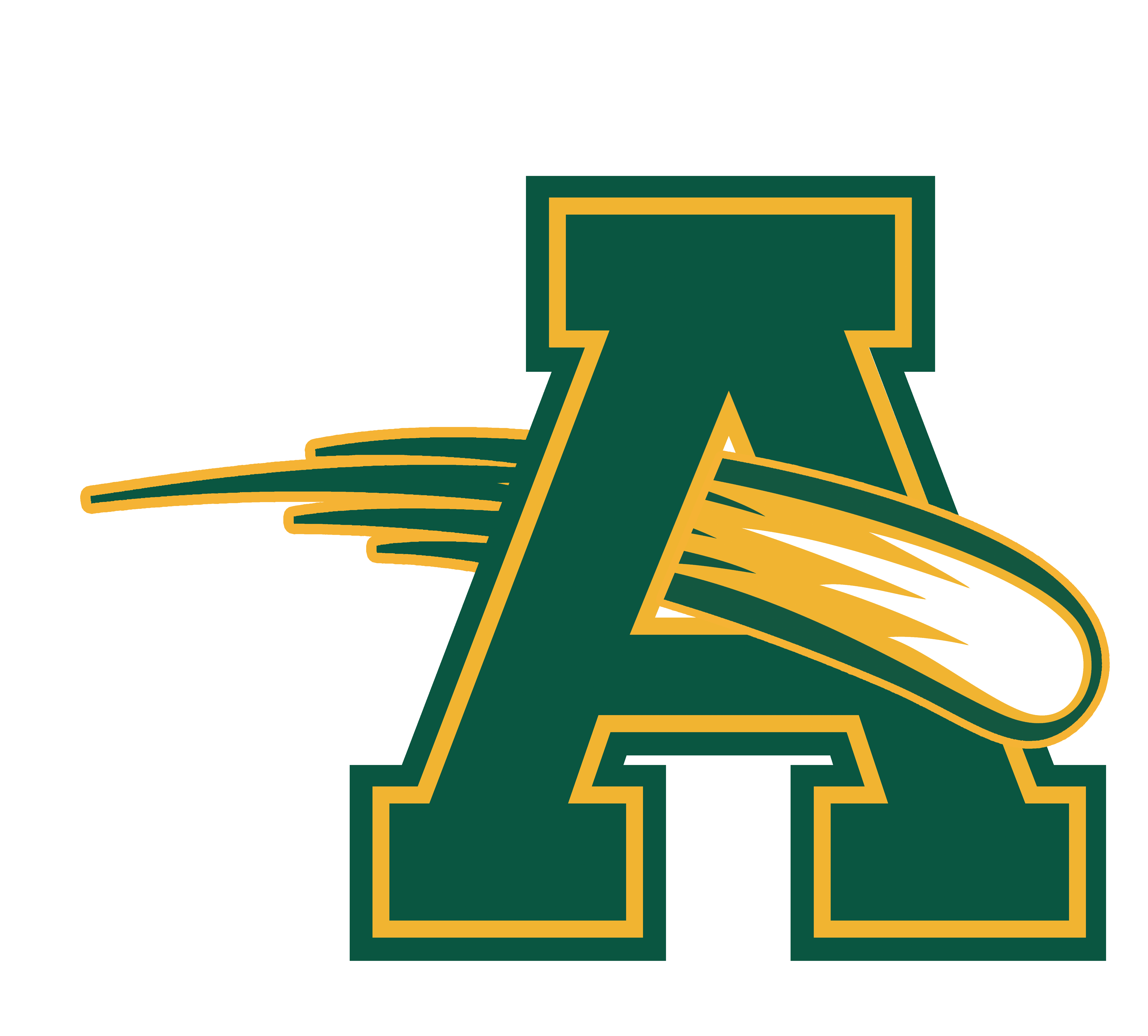 AMHERST COMETS Logo